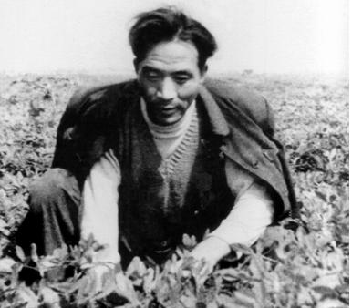 焦裕禄：人民的好公仆