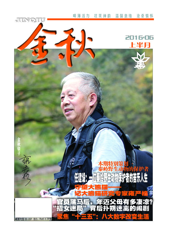 本期封面