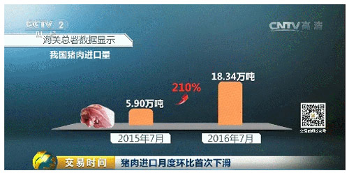 涨跌不定！未来四个月猪肉价格怎么走？