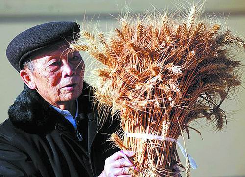 梁增基:卓然麦海育良种 一颗丹心永向阳