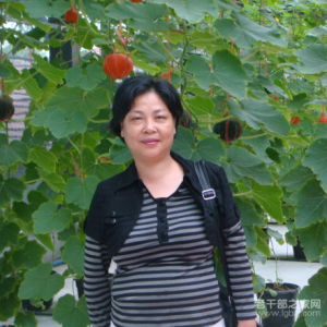 �����ϡ�����ʡ��ҵ���ϸɴ����������