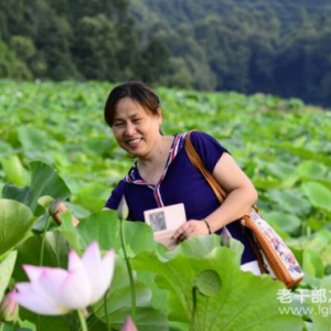 �����ϡ��»ζ���������ί��֯�����������ϸɲ��־ֳ���t��