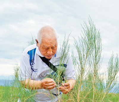 防治荒漠化，他的国际奖项最多——治沙高手“刘红柳”