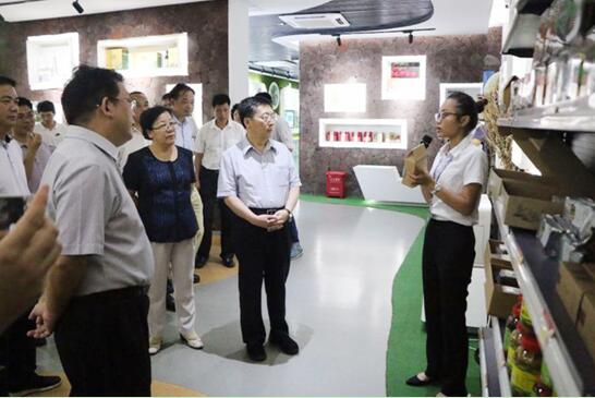 中组部老干部局督查组深入海南石山互联网农业小镇\n调研老干部发挥正能量工作情况