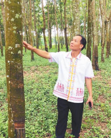 海南省白沙黎族自治县打安镇副镇长羊风极：百姓事，件件挂心头（十九大代表风采）