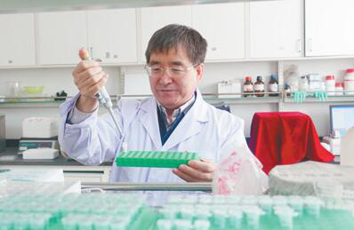 中国农业科学院作物科学研究所研究员何中虎：拿出小麦品质标准（十九大代表风采）
