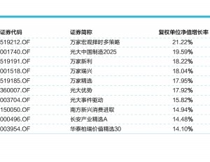 46只基金年涨逾10% 最高赚21.22%