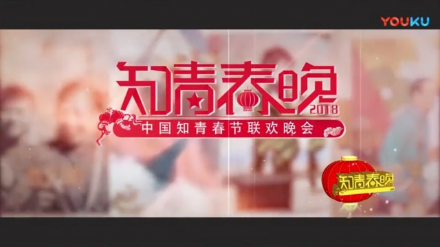2018中国知青春晚完整版_高清