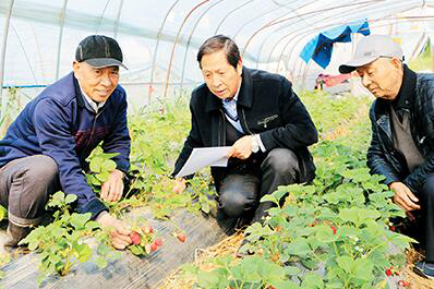 江苏淮安市淮阴区老干部助力脱贫