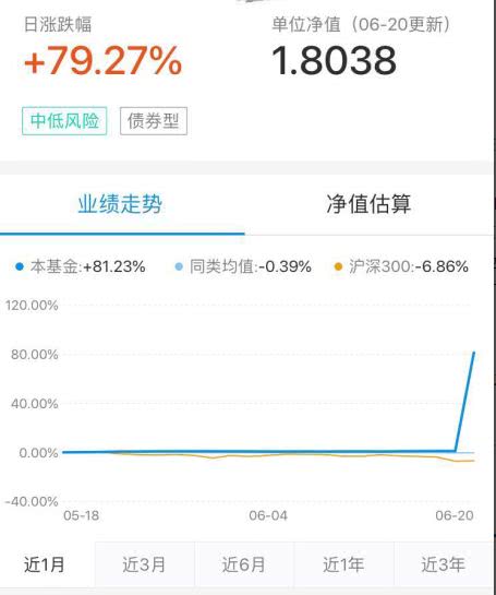 发生了什么？又有基金一天暴涨79.27%