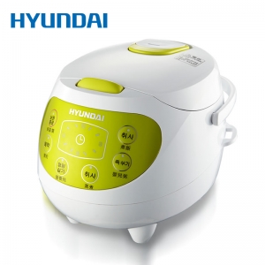 ִHYFB-1310