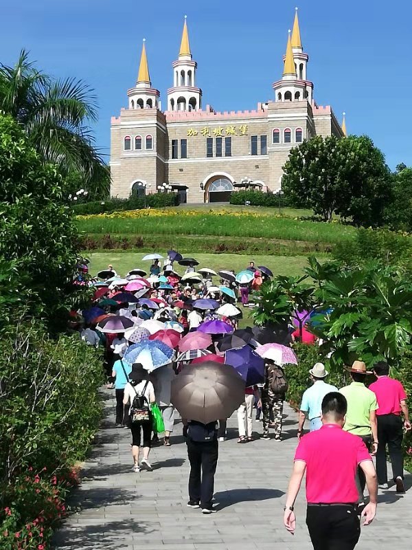 海南省农垦老干部服务中心组织老同志欢度重阳节 登高赏秋景 花海更胜春