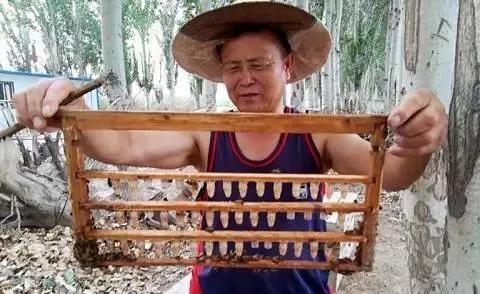 “追花的人”感叹时代“甜”与“美”
