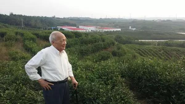 愿将血汗铸茶魂——记信阳茶叶专家黄执优
