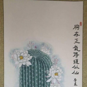 ʡ֯չĸ￪40ꡤͬ־л˵