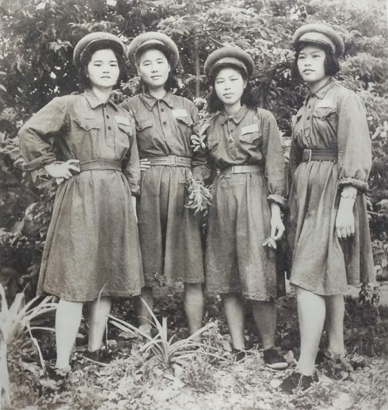 “韶华”“亲历”“养生之道”栏目向您征稿！