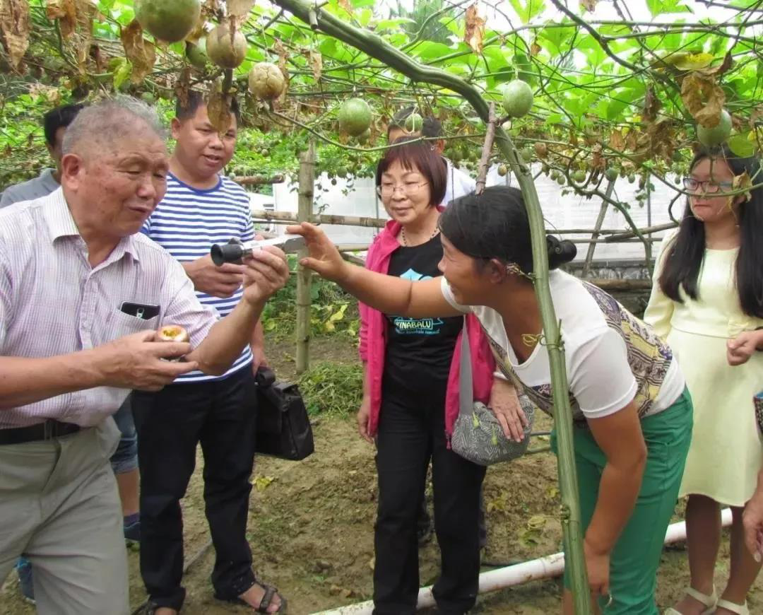 【广西】桂林发挥“银发人才”优势 助力经济社会发展