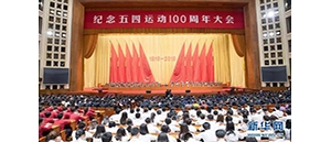 ϸһӵ΢ 2019ʮ