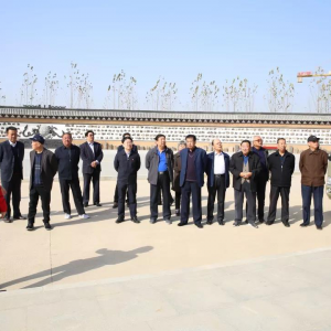 ����������֯�ϸɲ��ι۾��÷�չ��Ŀ