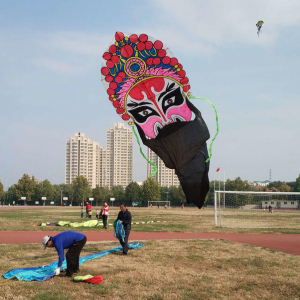 �Ͳ����ʹ���������Э�ٰ���ݷŷ�չ