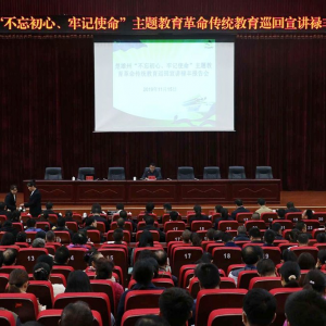 ���ϳ����ݡ��������ġ��μ�ʹ�����������������ͳ����Ѳ������»�ᱨ����ʵ