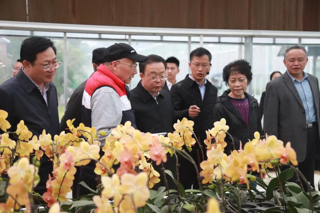 【重庆】组织老同志调研新中国成立70周年新成就
