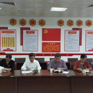 ���������ƽ������ݸɲ���֧����׼���淶������