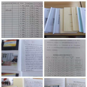��������ľ˹�봨�������ݸɲ�����ί�ٿ�2019��ȵ��������������ֻ�