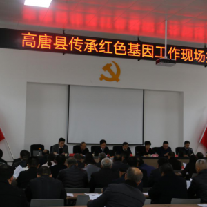 �ĳǸ����عع�ί�ٿ����к�ɫ�������ֳ��ƽ���