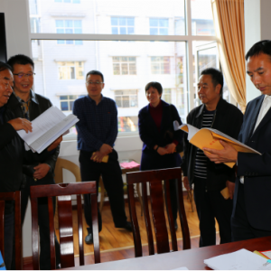 ����»�����˴�ί��߶����������ϸɲ�����