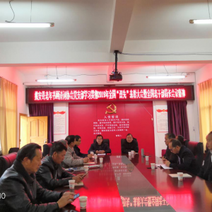 ������ʼ֧������  �Ƚ�����չ��δ�� ��������Ҧ���������黭ʫ��Э��ר�⴫��ѧϰȫ�������ݸɲ���˫�ȡ����ô���ȫ���ϸɲ��ֳ����龫��