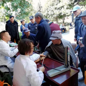 ���ϳν����ϸɲ�����ľٰ�2020�괺�ڽ����������͸�����һ