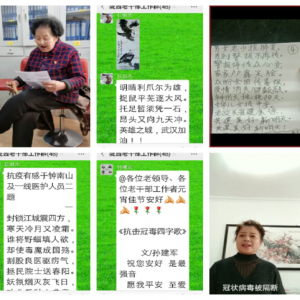 ս���ߡ��Գ���  ���������� ��������¤���������ݸɲ���������ع����������µ���չ������Ϊ