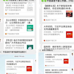 ����ƽ����ί�ϸɲ��֡�����ٴ롱�������������ս