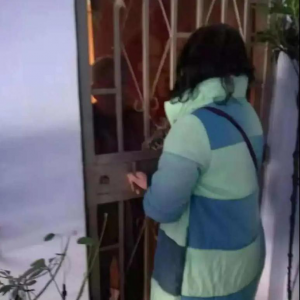 ���񻯡���Ϣ������׼�������Ϳ����ϸɲ�����������ģʽ