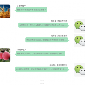 ս���� ��ũʱ �������ϸɲ��������߸���������