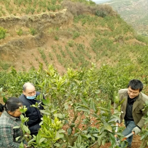 �ǹ����Ͽ�Э������������غͷ��񴺸���������ץ���ٽ�