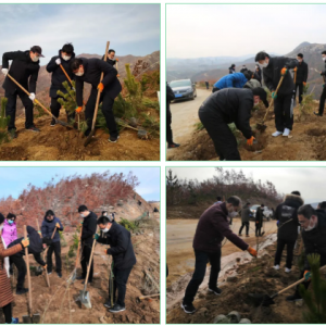 ������ί�ϸɲ�����֯��չ����ֲ���