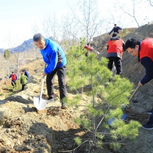 ʡί�ϸɲ��֡�ɽ�������ѧ��֯��չ����ֲ���