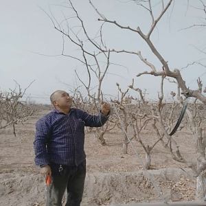 �½�����������ţ��ϸɲ��������븴��������������ƶ����