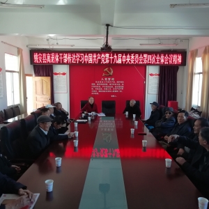 ����Ҧ�������㡰���۽����ƶ������ݸɲ���������������