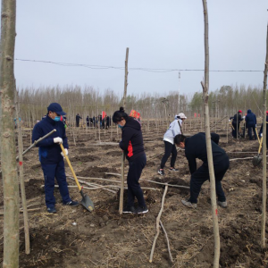 ������ګ�����ϸɲ��������Ĳμ�����ֲ���