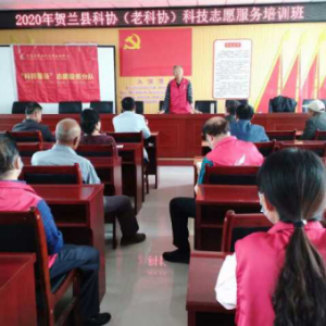 ���Ļ���������������11��������ר�ҵ�ͷ��������