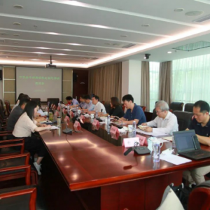 ǿ�ƶȲ��̰壬�Ϻ���ί�ϸɲ��ָ����ӿ�չר�����