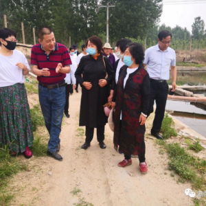 �ӱ�������ί�ϸɲ�����֯��չ���߱��������ҿ���ƶ�����³ɾ͡��