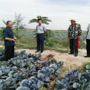 ���Ļ��������������ء����ϡ�+ģʽ������ƶ����