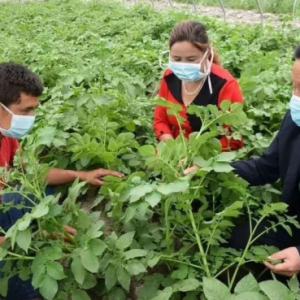 �½������յ��������ݸɲ���ʮ��Ա�� ������ƶ����