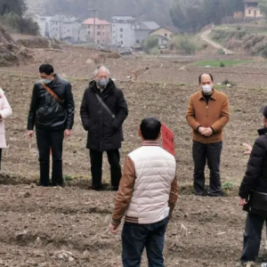 �㽭ʡ��ˮ�У������������� ������ͬ־��Ӳ��������