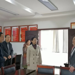 ����ʡ�����С�����������ʵ�ƽ������ݸɲ�����֯����