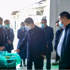 ̩������������������ѧ��̩���ϸɲ����ж�